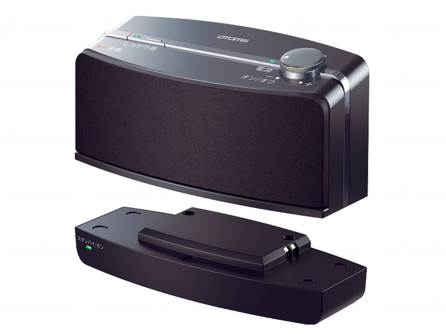 오토모어 와이메레스 테레비비스피카 쾌테레군