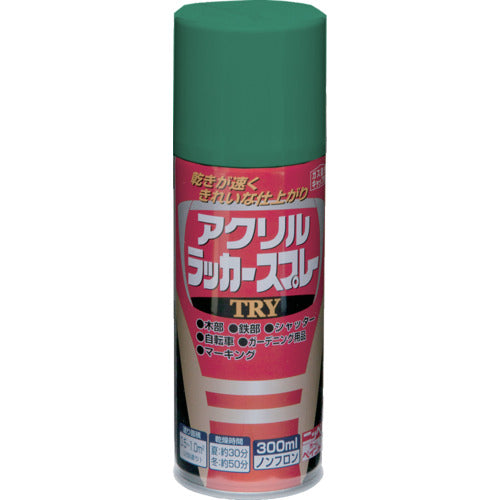 ニッぺ　アクリルラッカースプレーＴＲＹ　３００ｍｌ　ディープグリーン　２２２Ｔ０１３−３００　4976124253720　1 本