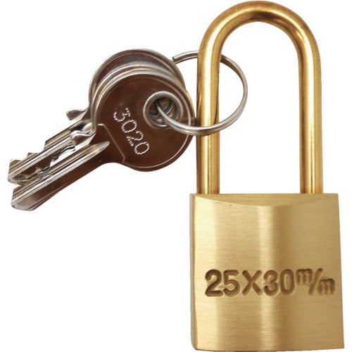 ＷＡＫＩ　ツル長シリンダー錠　２５Ｘ３０ｍｍ　VA-013　1 個