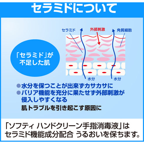 Ｋａｏ　業務用ソフティ　ハンドクリーン手指消毒液　４．５Ｌ　508782　1 個