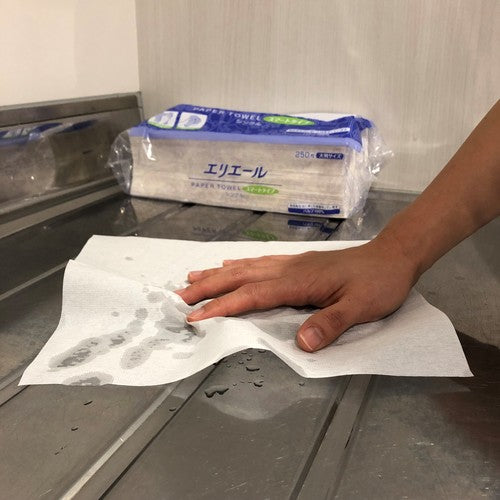 Elleair Paper Towels Smart Type Large Single 703527 1 CS