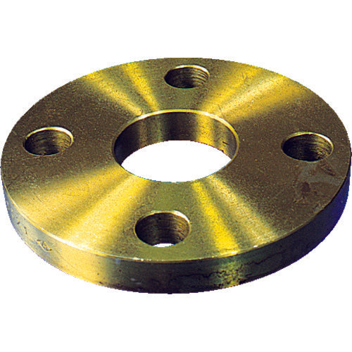 Ishiguro Black Perforated Flange SOP-FF Type SS400 Equivalent 10K Nominal Size (A) 15 10SOP-F-15A 1 pc