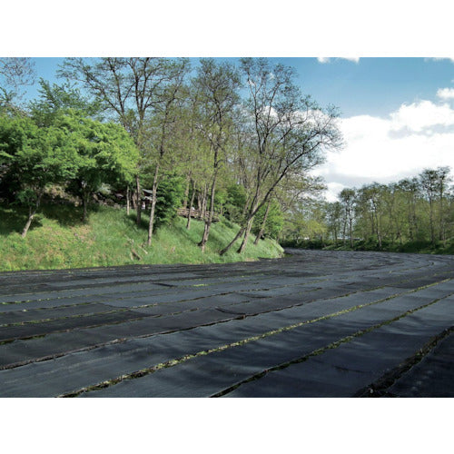 TRUSCCO 차광 넷 차광율 65% 4x6m TSN65-46 1장