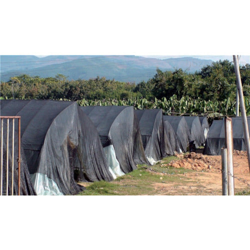 TRUSCCO 차광 넷 차광율 65% 4x6m TSN65-46 1장