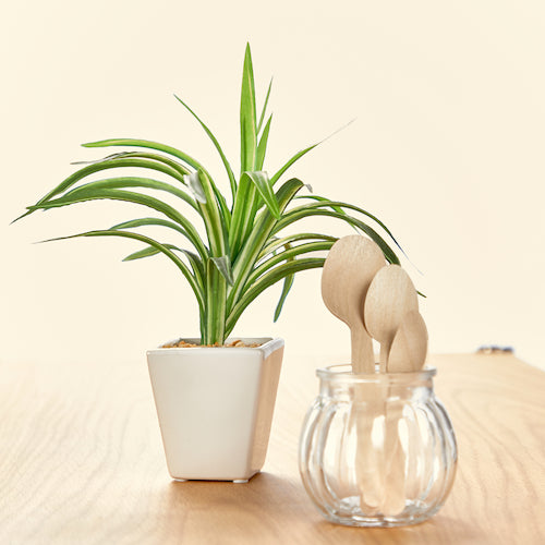 ＴＲＵＳＣＯ　木製スプーン　全長１４０ｍｍ　１００本入　WSP-140　1 袋