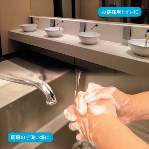 사라야 종이 타오르소엘 200장들이 X42봉투 51847 1 CS