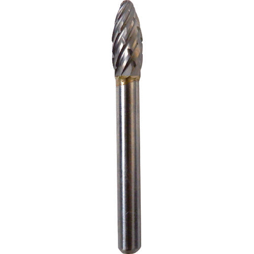 NRS Carbide Bur, Oval D-Steel Cutting, Blade Diameter 8 x Blade Length 19 x Shaft Diameter 6 x Shaft Length 46, Brazed, TCBSTL5550, 1 pc