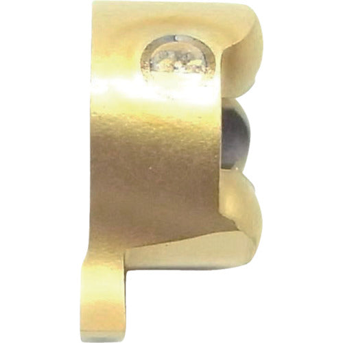 이스컬 캠그루브 칩 GIQR/L-8-R IC528 GIQR 8-2.00-R100 10개