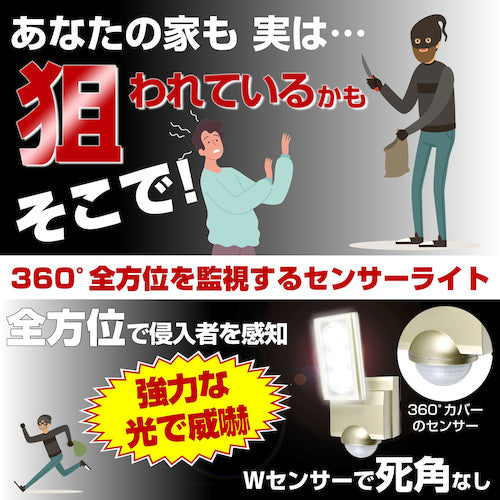 ELPA 방범용 센서 라이트 AC LED 센서 라이트 1등 ESL-ST1201AC 1대