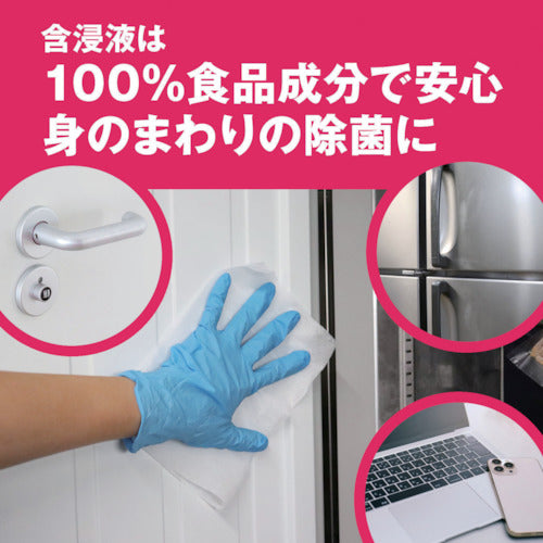 Saraya Alcohol Disinfectant Wipes, Pack of 60, 42446, 1 PK