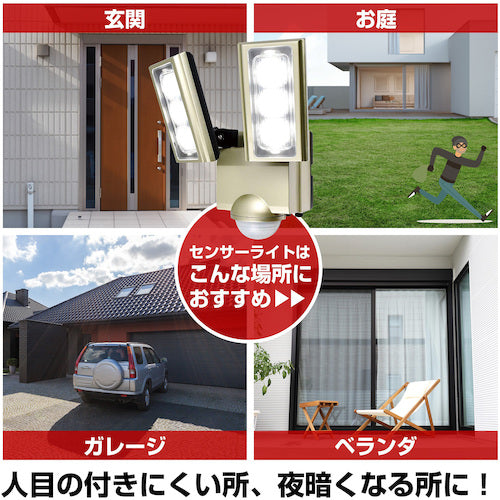 ELPA 방범용 센서 라이트 AC LED 센서 라이트 2등 ESL-ST1202AC 1대