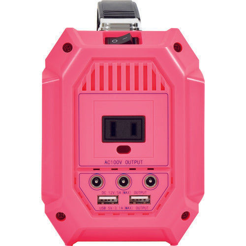 ＮＩＣＨＩＤＯ　ポータブル電源　ピンバン　LPE-R250L　1 台