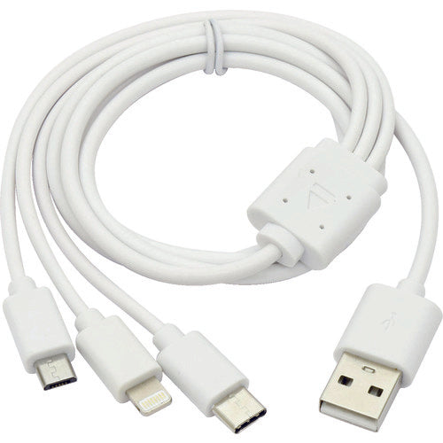 ＮＩＣＨＩＤＯ　ポータブル電源　ピンバン　LPE-R250L　1 台