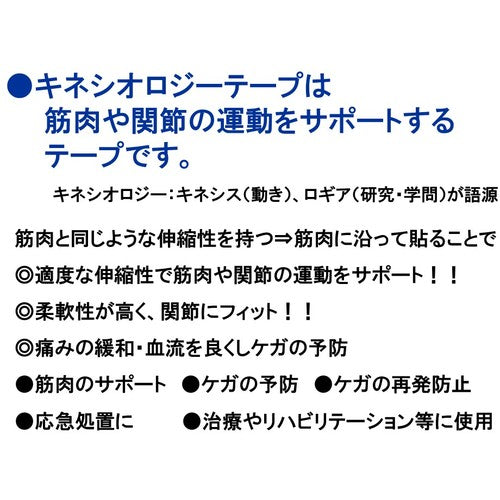 Nichiban Battlewin Taping Tape Serapore Tape FX SEFX50F SEFX50F 1 roll