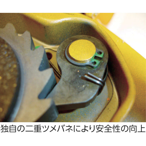 KITO 체인 블록 키토마이티 M3형 정격 하중 1.6t 표준 양정 2.5m CB015 1대