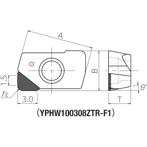 다이제트 QM 맥스용 칩 YPHW100308ZTR-F1 10개