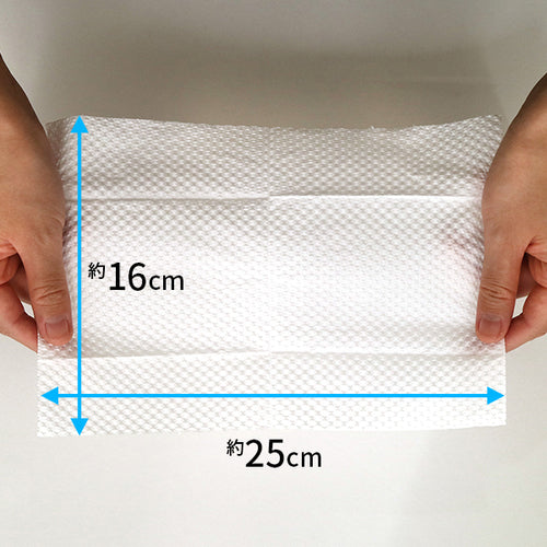 LEC Super Cleaning Disinfectant Flushable Toilet Cleaner 24 Sheets S00280 1 PK