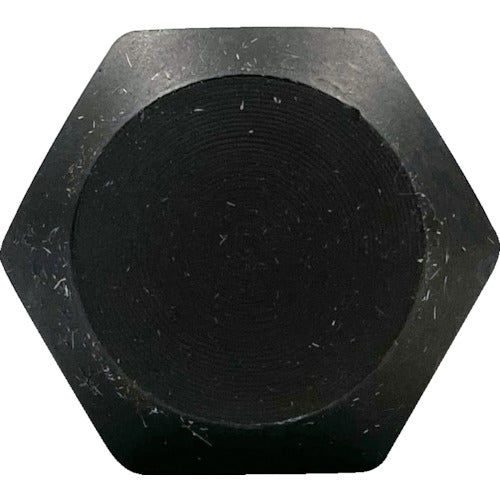 HiKOKI 불포인트(육각축 제비 없음) 325L 0095-6460 1개