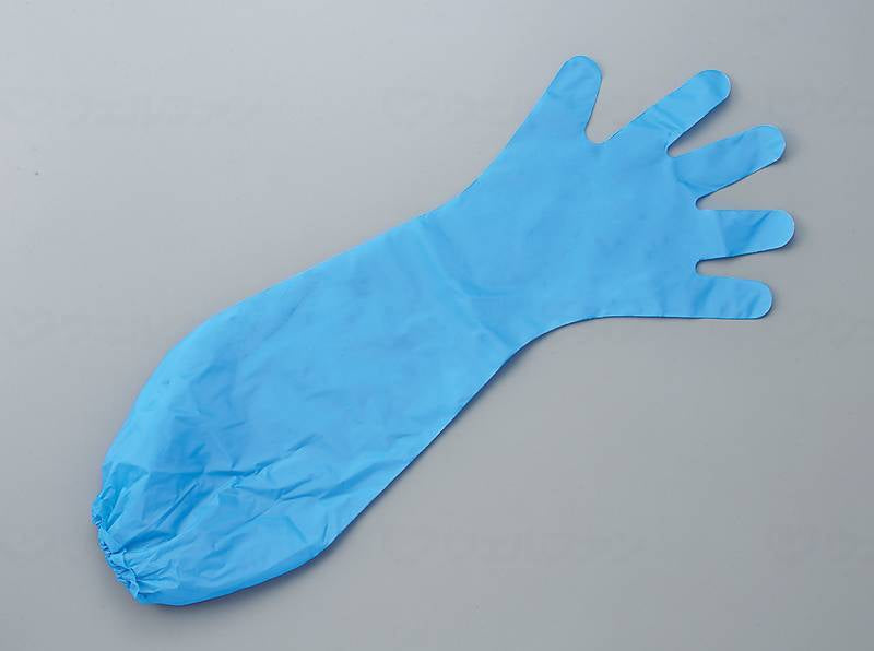 White Maxguard Max Long with Elastic Cuffs Economy Blue Case