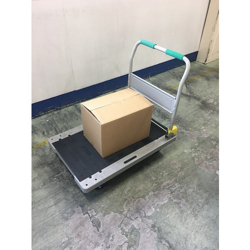 ＣＡＲ−ＢＯＹ　ＮＥＷ止まるんですＤ‐３０　格子柄ブラック　UWT-19　1 枚