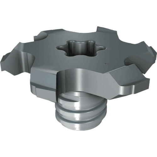 イスカル　マルチマスター　溝加工対応ヘッド　ＭＭ　ＴＳ−Ｃ　ＩＣ９２８　MM TS225C193T100-6T08　2 個