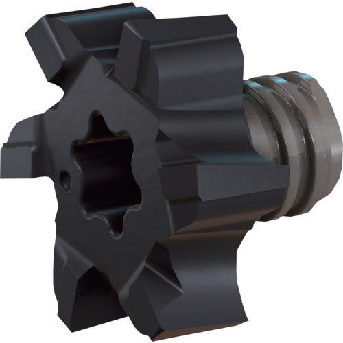 イスカル　マルチマスター加工ヘッド　平面加工対応　ＩＣ９０８　MM FM250-75R0.4-06T10　2 個