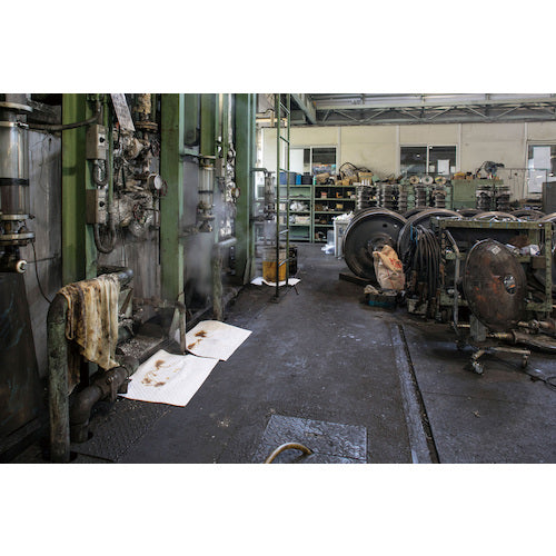 Teramoto Oil Absorbing Sheet (Unlined) 300 x 400 mm (110 sheets) MR-939-322-0 1 box