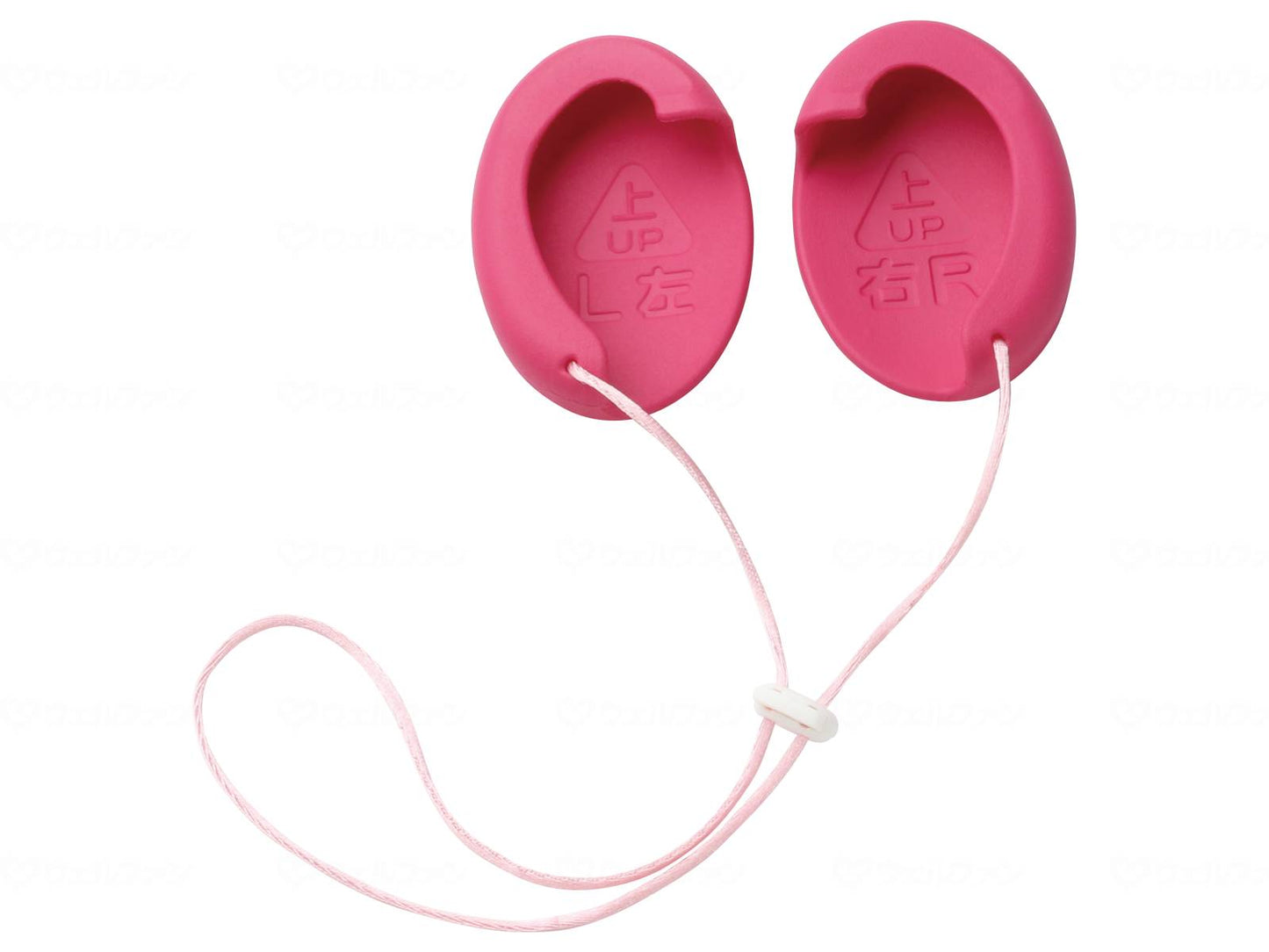 중부 디자인 연구소 내 미미 로즈 프리