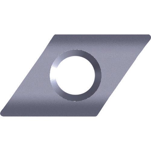 Fujigen Insert AC16N DCXT11X304E 12 pieces