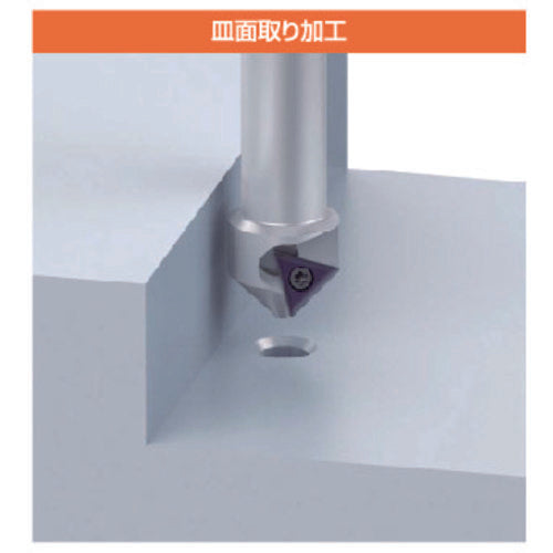 Fujigen Mentor Day MBM6010T 1 unit