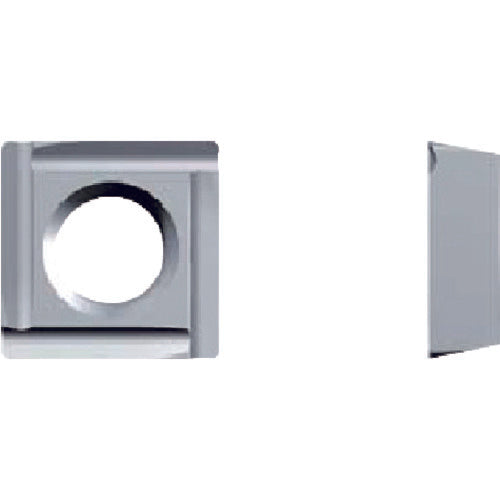 Fujigen Insert AC16N SPET040102 12 pieces