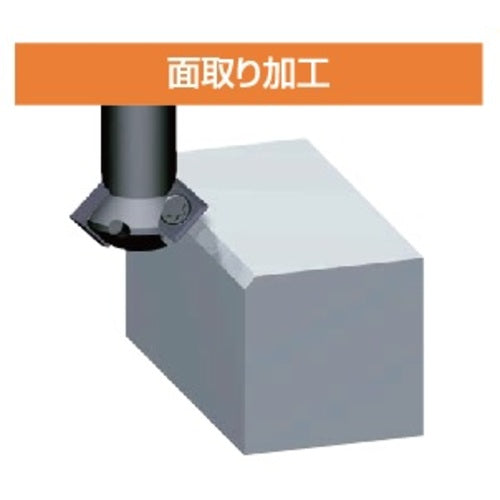 Fujigen Insert AC16N SPMT030102 12 pieces