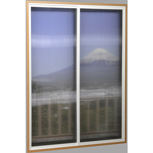 光　ポリカ中空ボード９１０×２１００×４ｍｍ透明２枚入（箱入）　KTP2194W-1　1 箱