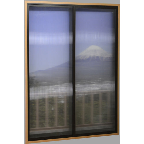 光　ポリカ中空ボード９１０×２１００×４ｍｍ透明２枚入（箱入）　KTP2194W-1　1 箱