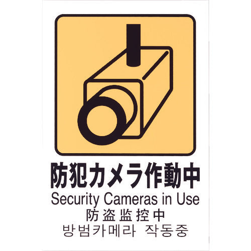 Light Multilingual Pictogram Security Camera in Operation TGP2032-8 1 sheet
