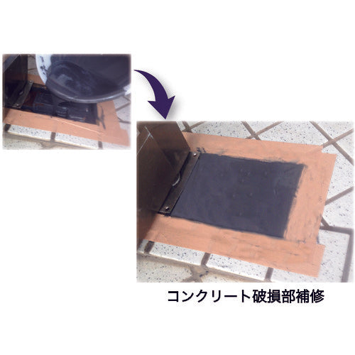 ＤＥＶＣＯＮ　Ｂ　４ｌｂ（１．８ｋｇ）鉄分・液状タイプ　DV10220J　1 Ｓ