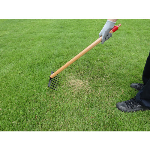 GS Lawn Thatch Remover (Small) 4010 1 piece