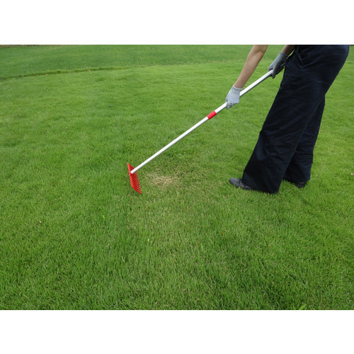 GS Lawn Thatch Removal Rake, Telescopic, 4036, 1 Piece