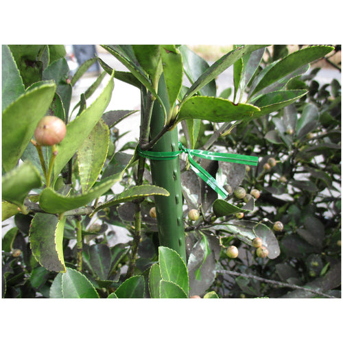 ＴＲＵＳＣＯ　園芸用ビニールタイ　幅４ｍｍ×長さ１５０ｍｍ　緑　１００本入　GVT150-100　1 袋