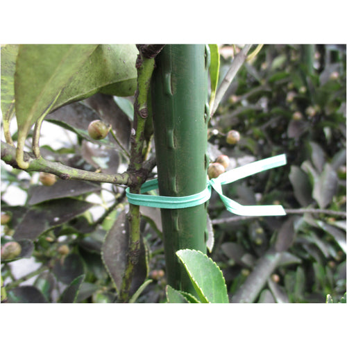 TRUSCO Gardening Paper Ties Width 4mm x Length 150mm Green 100 Pieces PVT150-100 1 Bag