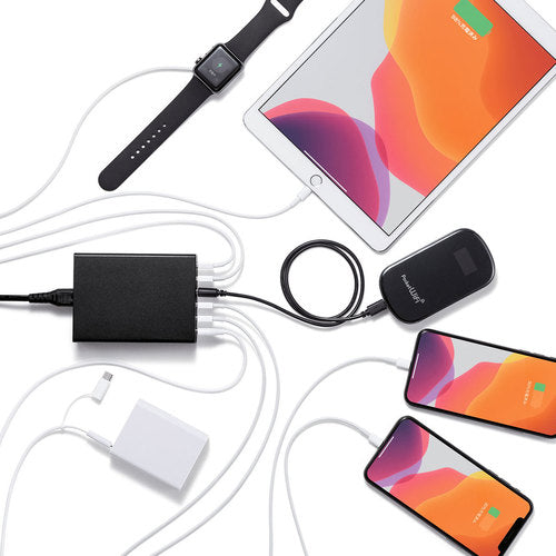 SANWA USB Charger Black ACA-IP67BK 1 unit