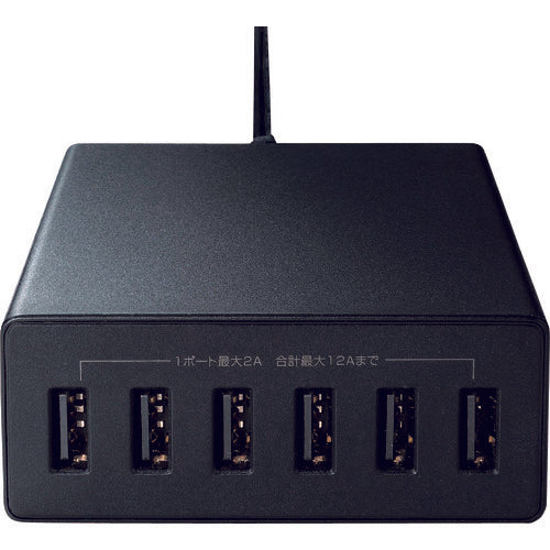 SANWA USB Charger Black ACA-IP67BK 1 unit