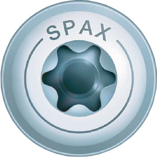 ＳＰＡＸ　ＷＩＲＯＸ　ワッシャーネジ　６．０×６０　（２００本入）　0251010600605　1 箱