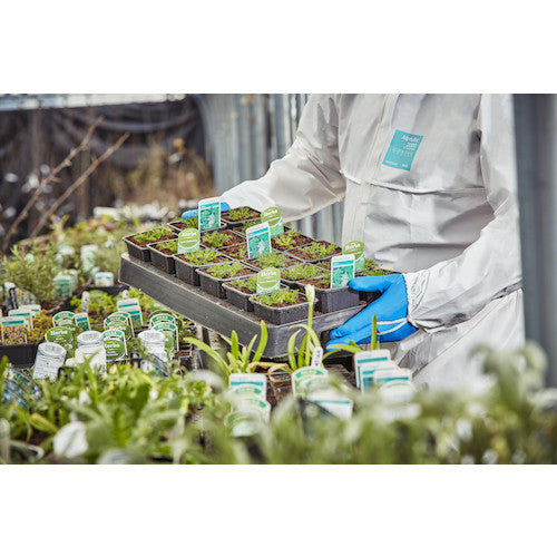 アンセル　耐油・耐薬品ニトリル手袋　アルファテック　３７−３１０　ＸＬサイズ　37-310-10　1 双