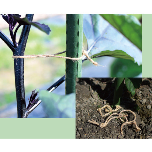 たくみ　ジュート麻糸　細　3215　1 個