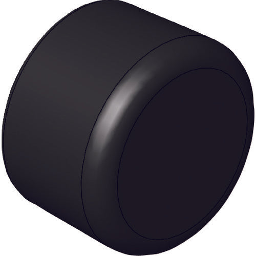 Einz Pipe End Cap (Black) φ8 R-CAP-8 1 piece