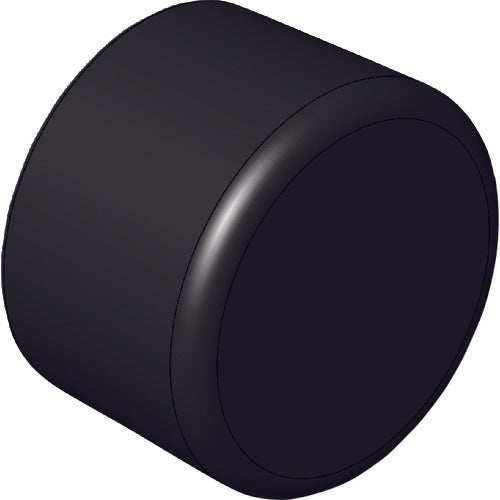 Einz Pipe End Cap (Black) φ12 R-CAP-12 1 piece