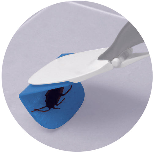 CAR-BOY Petatto Mushimon MS-01 1 piece