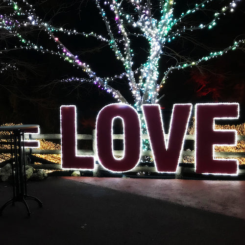 トライト　ＬＥＤチューブストリング　ホワイト　Ｌ３０００　NTCW1-99-30P/2　1 本