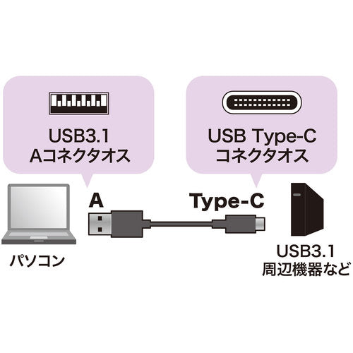 SANWA USB3.1Gen2TypeC-A 케이블 KU31-CA10 1개